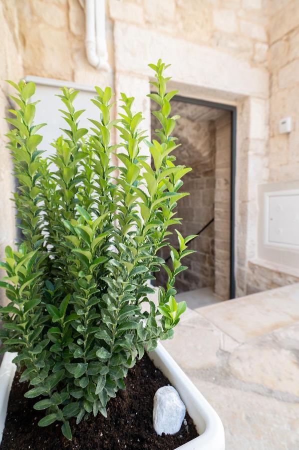 Piccola Pietra Bianca Giovinazzo Exterior foto